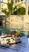 shirin_danin Altpins Profile Picture