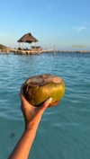 shirin_danin Altpins Profile Picture