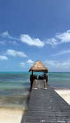 shirin_danin Altpins Profile Picture