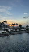 shirin_danin Altpins Profile Picture