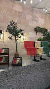 shirin_danin Altpins Profile Picture