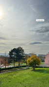 shirin_danin Altpins Profile Picture