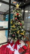 shirin_danin Altpins Profile Picture