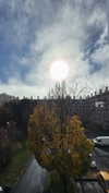 shirin_danin Altpins Profile Picture