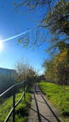 shirin_danin Altpins Profile Picture