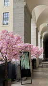shirin_danin Altpins Profile Picture