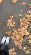 shirin_danin Altpins Profile Picture