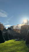 shirin_danin Altpins Profile Picture