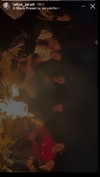 shirpeleg._ Altpins Profile Picture