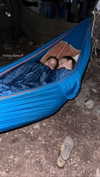 shirpeleg._ Altpins Profile Picture