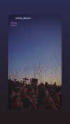 shirpeleg._ Altpins Profile Picture