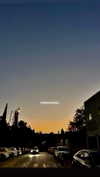 shirpeleg._ Altpins Profile Picture