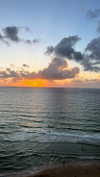 shirpeleg._ Altpins Profile Picture