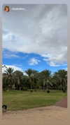 shirpeleg._ Altpins Profile Picture