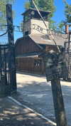 shirpeleg._ Altpins Profile Picture
