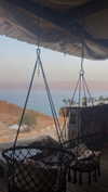shirpeleg._ Altpins Profile Picture