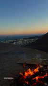 shirpeleg._ Altpins Profile Picture
