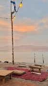 shirpeleg._ Altpins Profile Picture