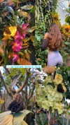 shirpolani Altpins Profile Picture