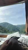 shirpolani Altpins Profile Picture