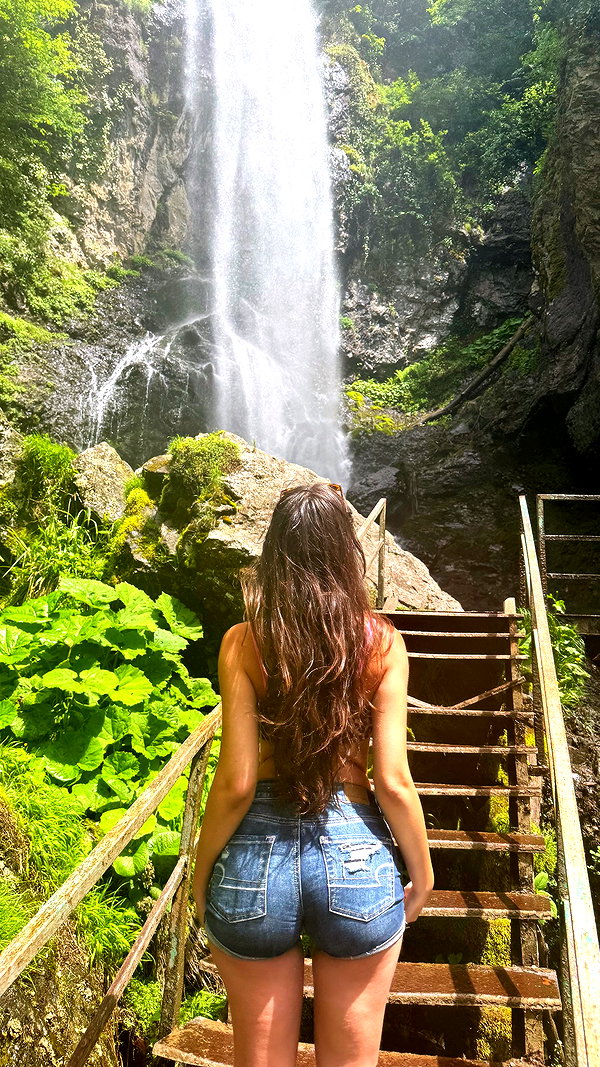 shirpolani instagram image archive image