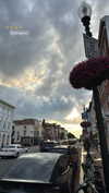 shirpolani Altpins Profile Picture