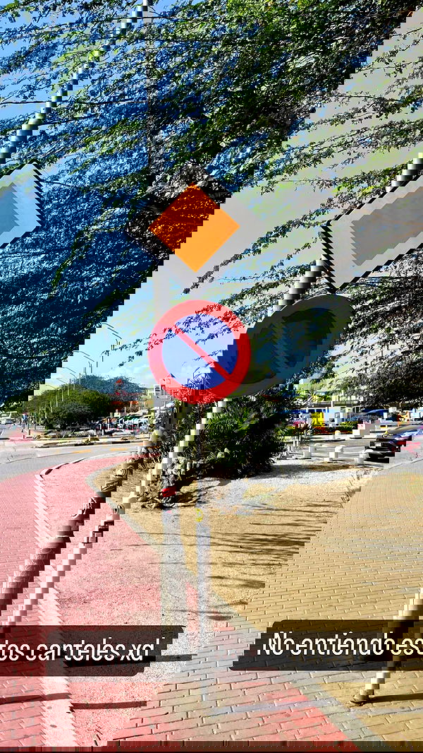 shunli__mei image ~ Altpins