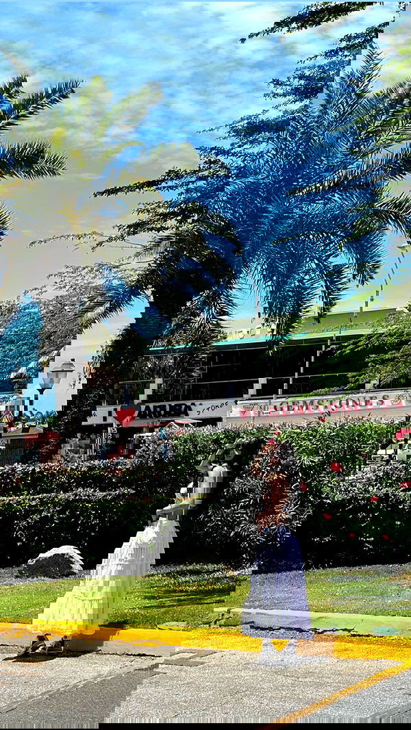 shunli__mei image ~ Altpins