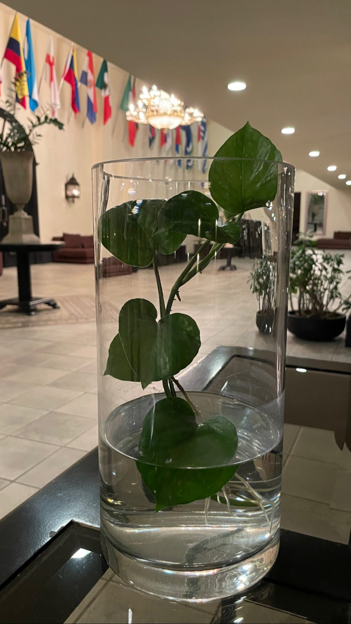 shunli__mei instagram image archive image