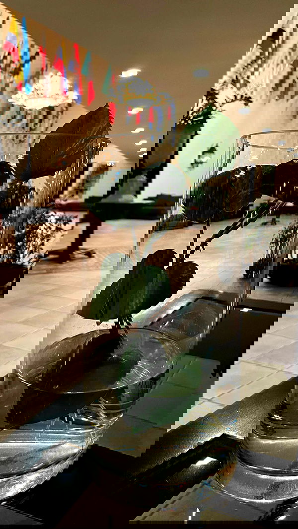 shunli__mei image ~ Altpins