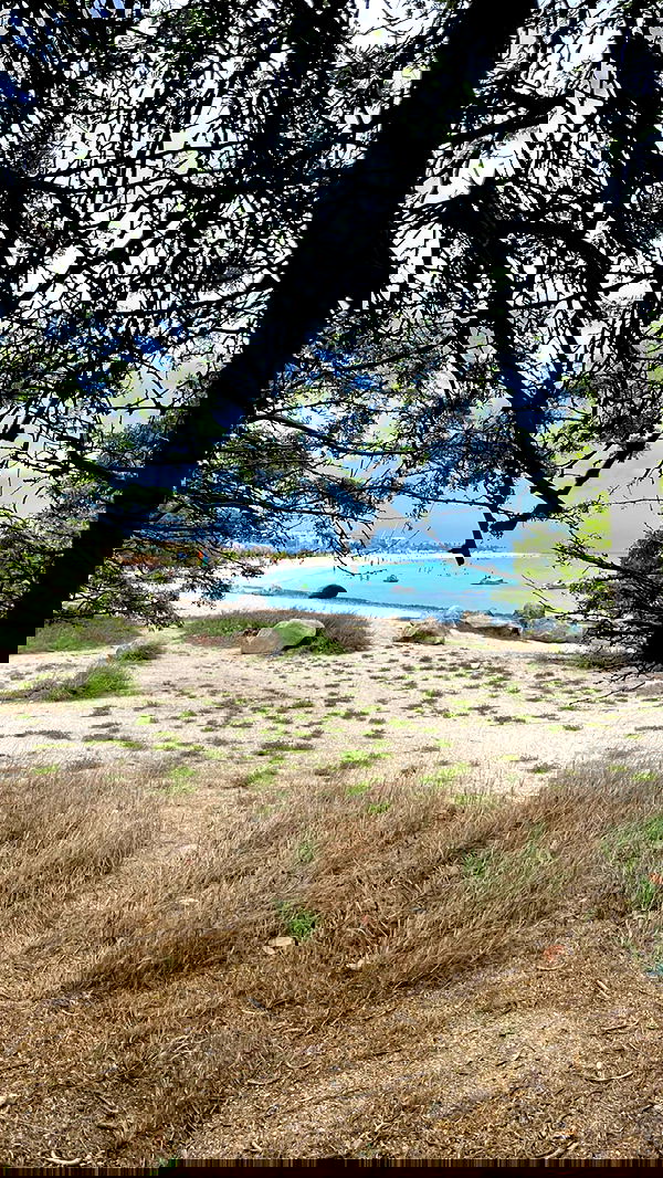 shunli__mei image ~ Altpins