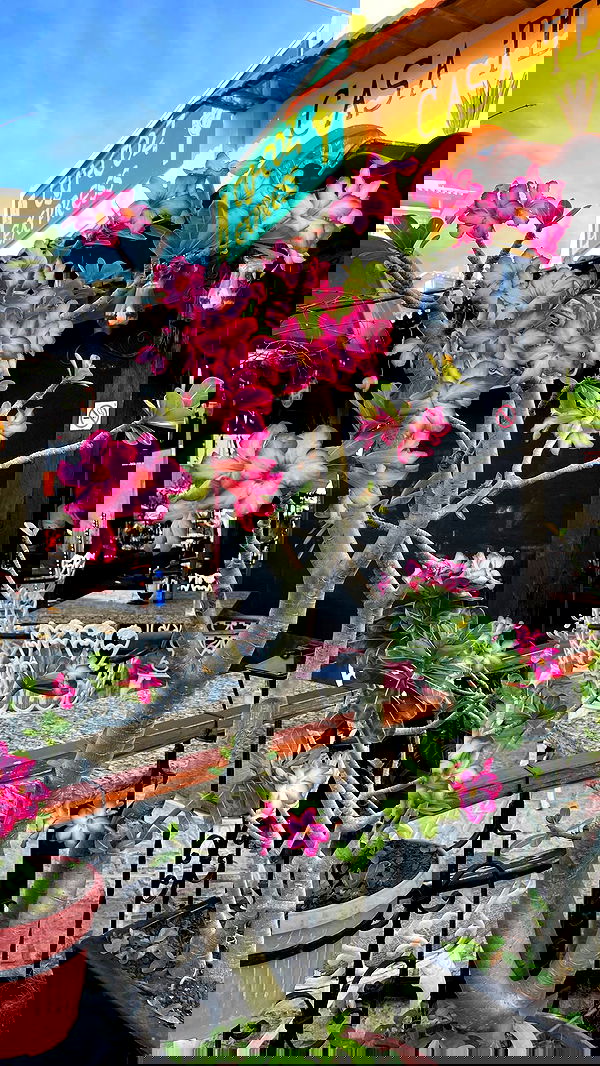 shunli__mei image ~ Altpins