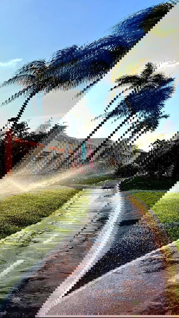 shunli__mei image ~ Altpins