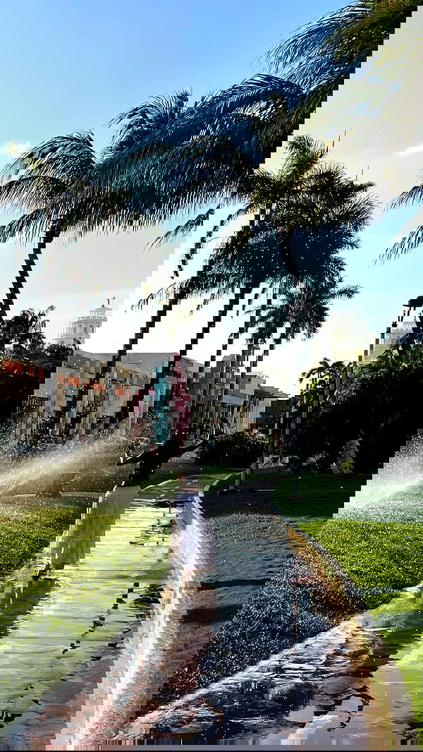 shunli__mei image ~ Altpins