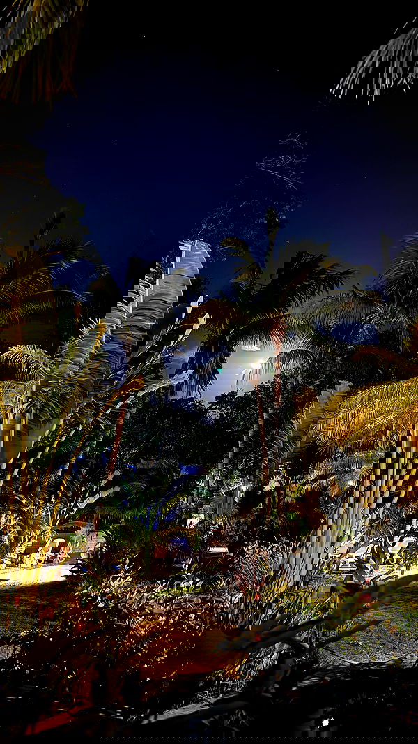 shunli__mei image ~ Altpins