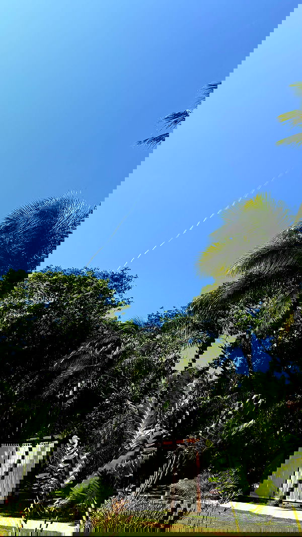 shunli__mei image ~ Altpins