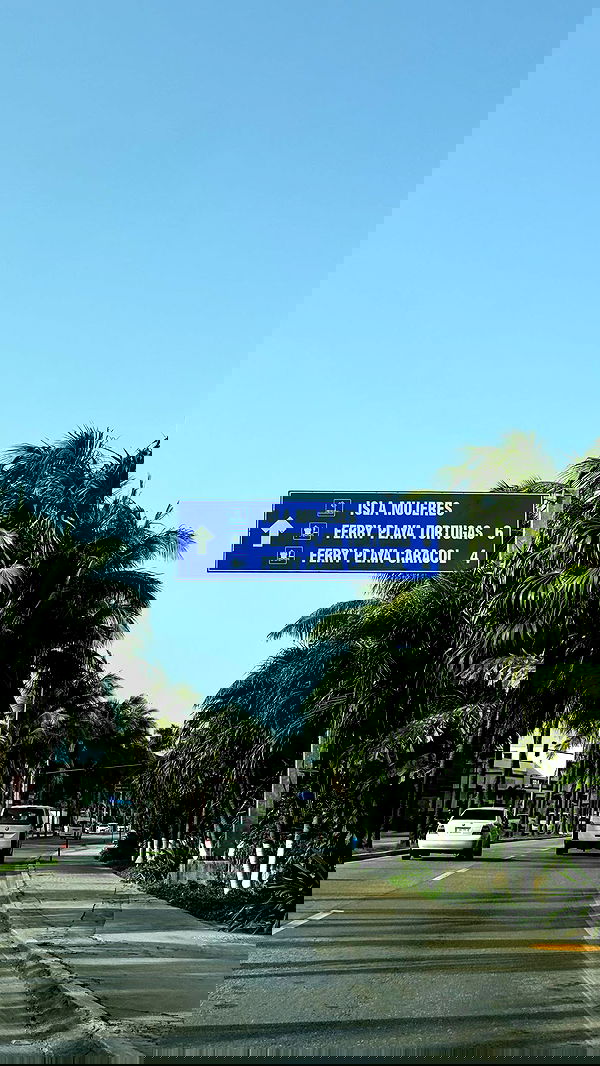 shunli__mei image ~ Altpins