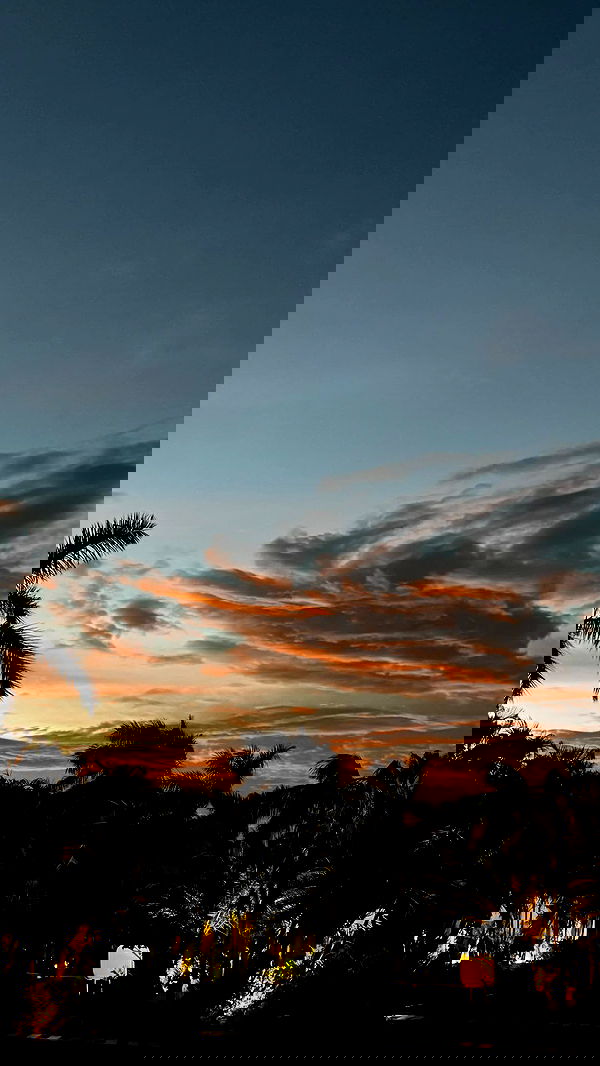 shunli__mei image ~ Altpins