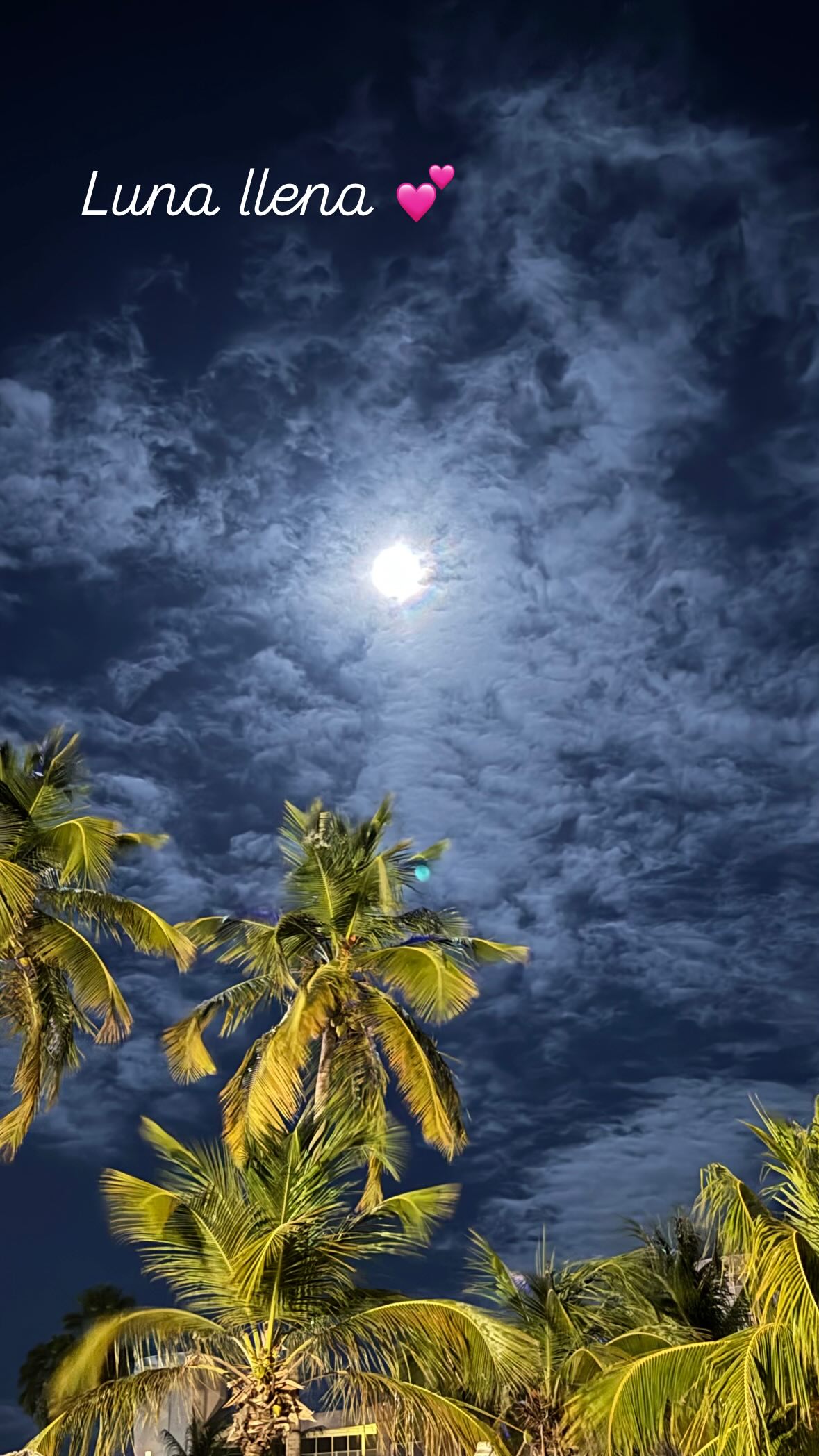 shunli__mei instagram image archive image