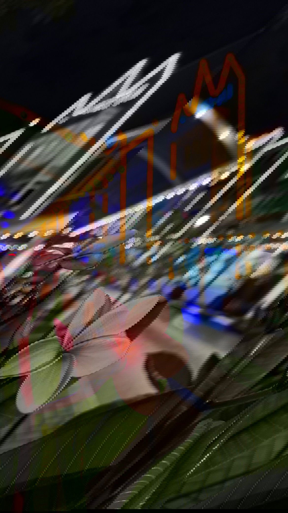 shunli__mei instagram image archive image