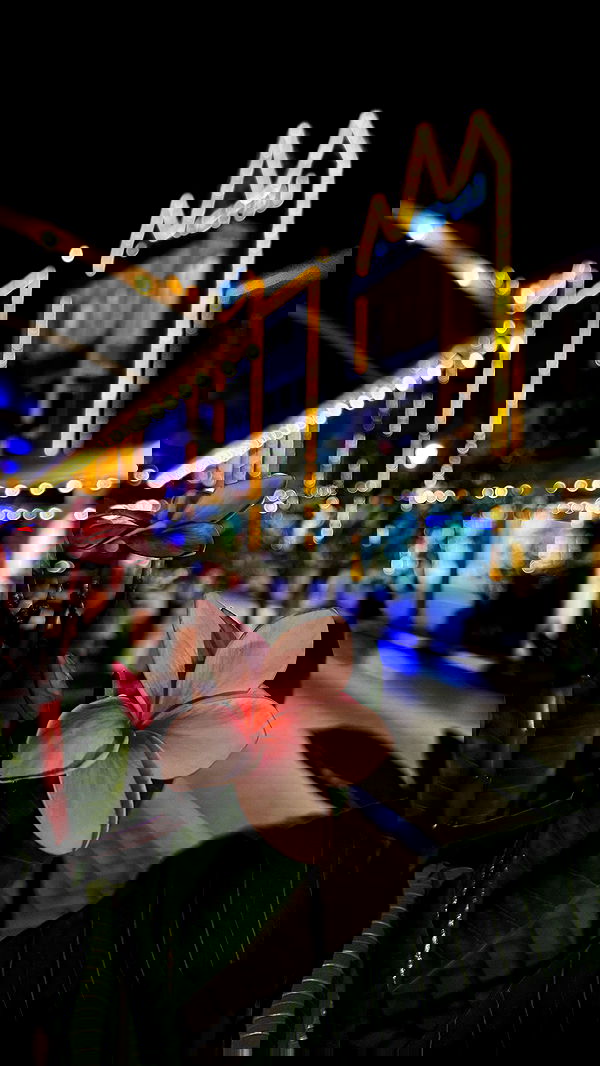 shunli__mei image ~ Altpins