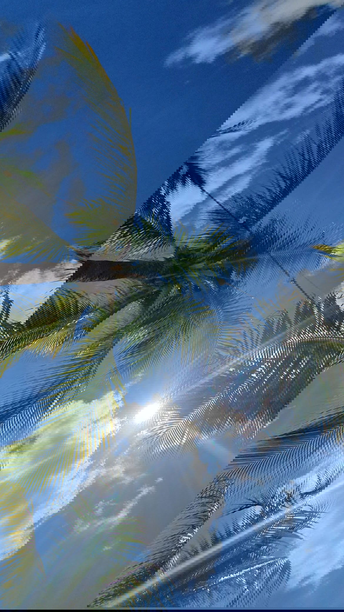 shunli__mei instagram image archive image