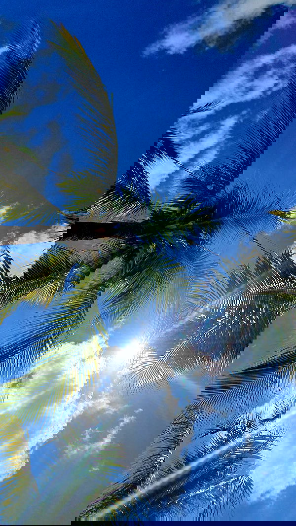 shunli__mei image ~ Altpins