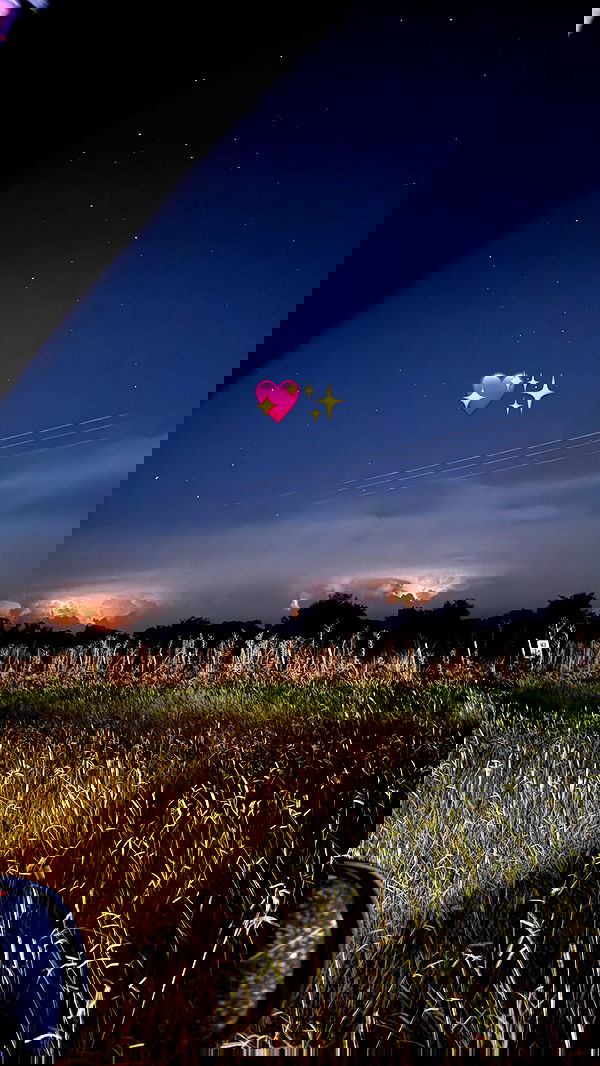 shunli__mei image ~ Altpins