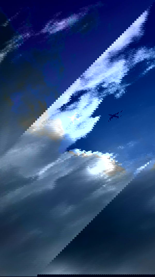 shunli__mei image ~ Altpins