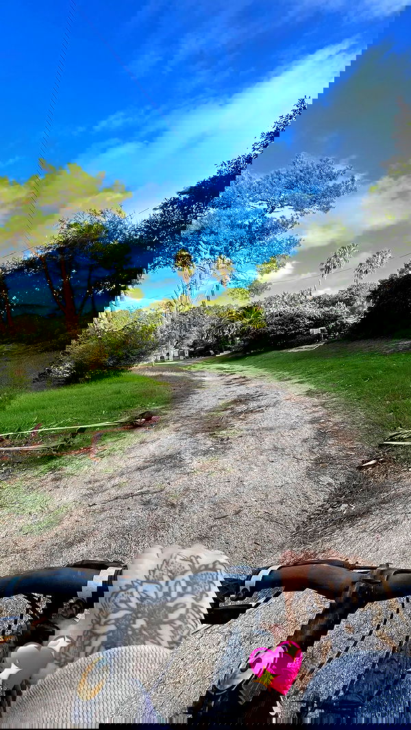 shunli__mei image ~ Altpins