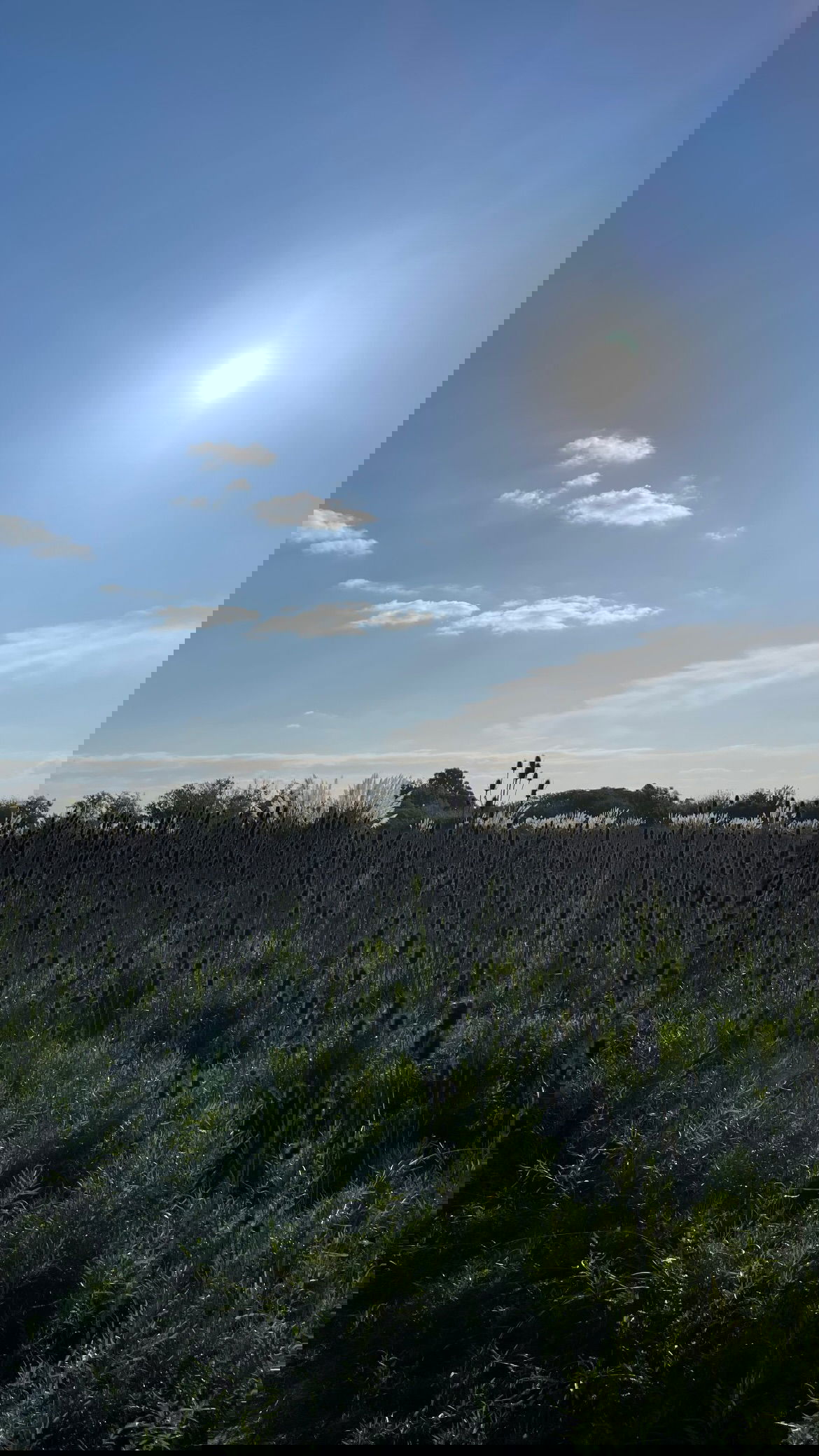 shunli__mei instagram image archive image