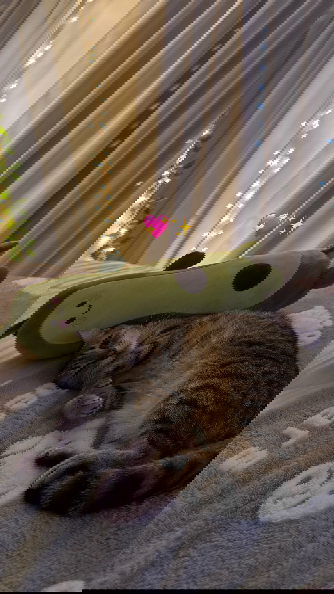 shunli__mei instagram image archive image