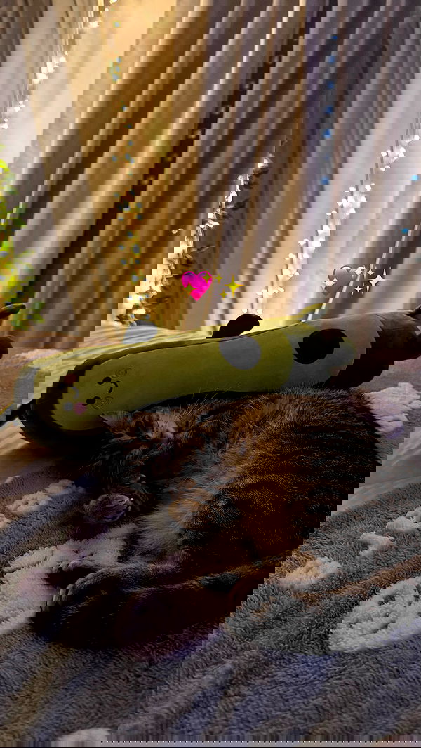 shunli__mei image ~ Altpins