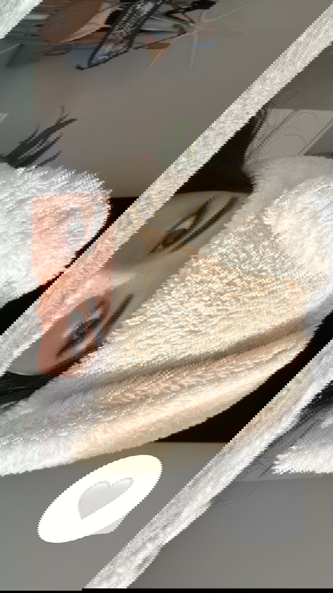 shunli__mei instagram image archive image